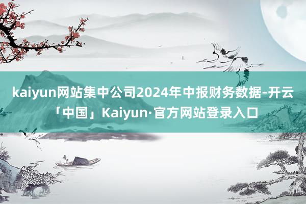 kaiyun网站集中公司2024年中报财务数据-开云「中国」Kaiyun·官方网站登录入口