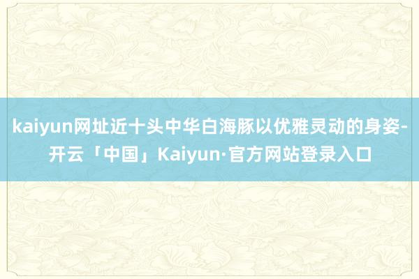 kaiyun网址近十头中华白海豚以优雅灵动的身姿-开云「中国」Kaiyun·官方网站登录入口