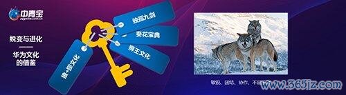 图6.jpg
