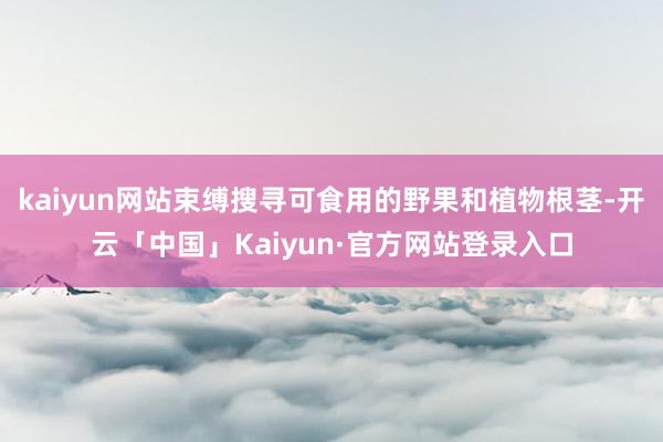 kaiyun网站束缚搜寻可食用的野果和植物根茎-开云「中国」Kaiyun·官方网站登录入口