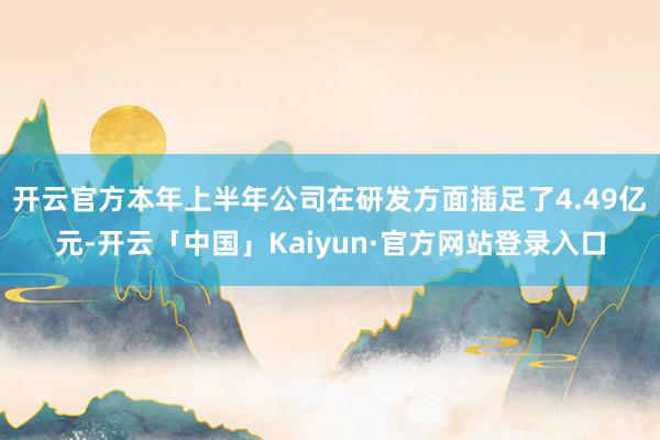 开云官方本年上半年公司在研发方面插足了4.49亿元-开云「中国」Kaiyun·官方网站登录入口