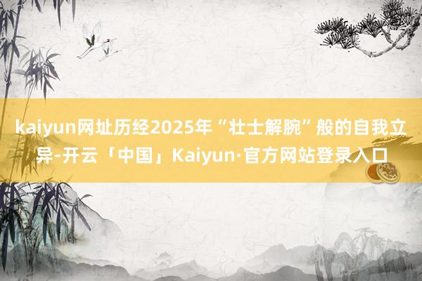 kaiyun网址历经2025年“壮士解腕”般的自我立异-开云「中国」Kaiyun·官方网站登录入口